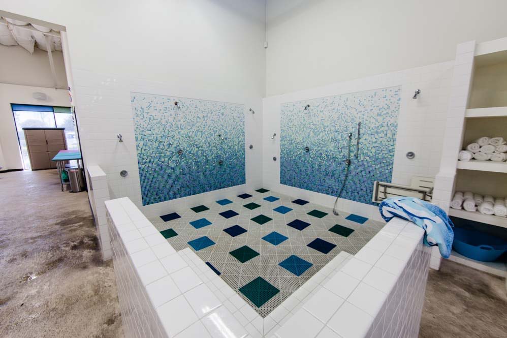 Australian Swim School: Tiled shower area
